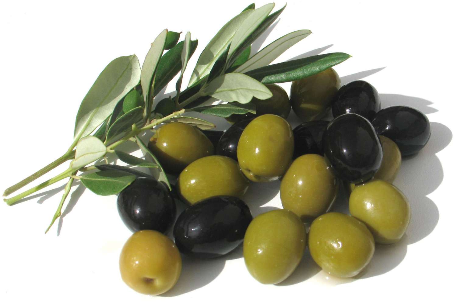 dầu oliu oil chăm sóc da khô